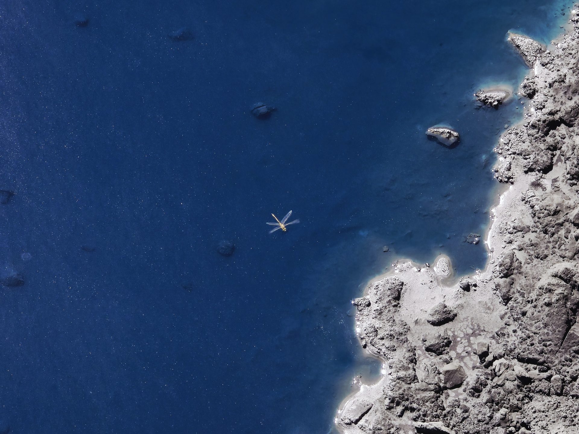 Microbial Corrosion in Mining 5 20250315 131413